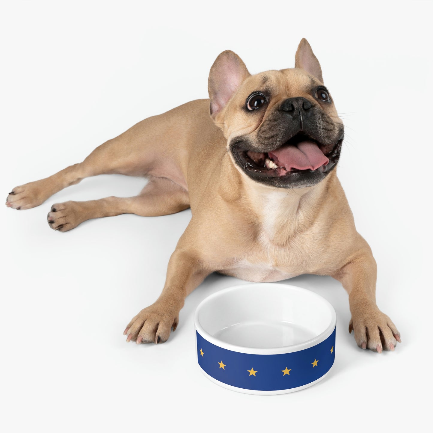 Constellation - Pet Bowl ~ Sharon Dawn Collection