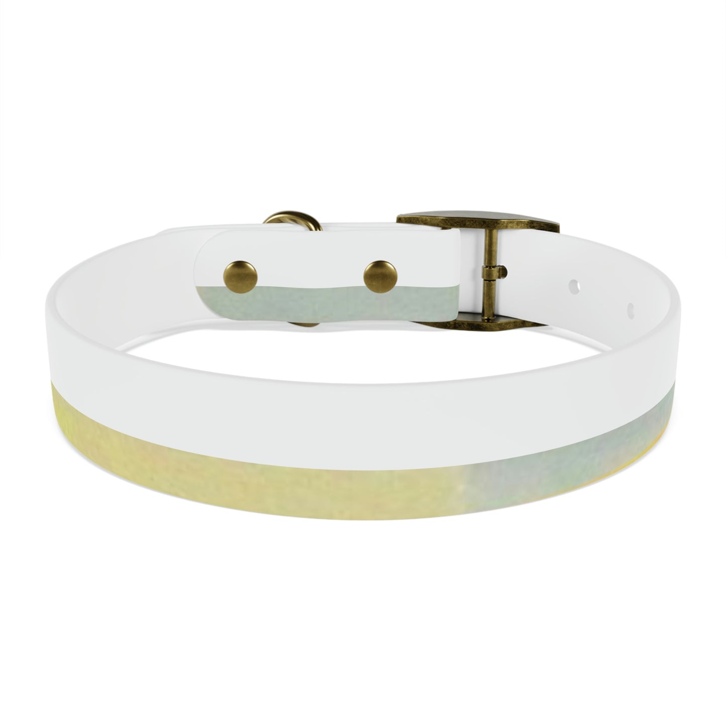 Technicolour Green - Dog Collar ~ Sharon Dawn Collection