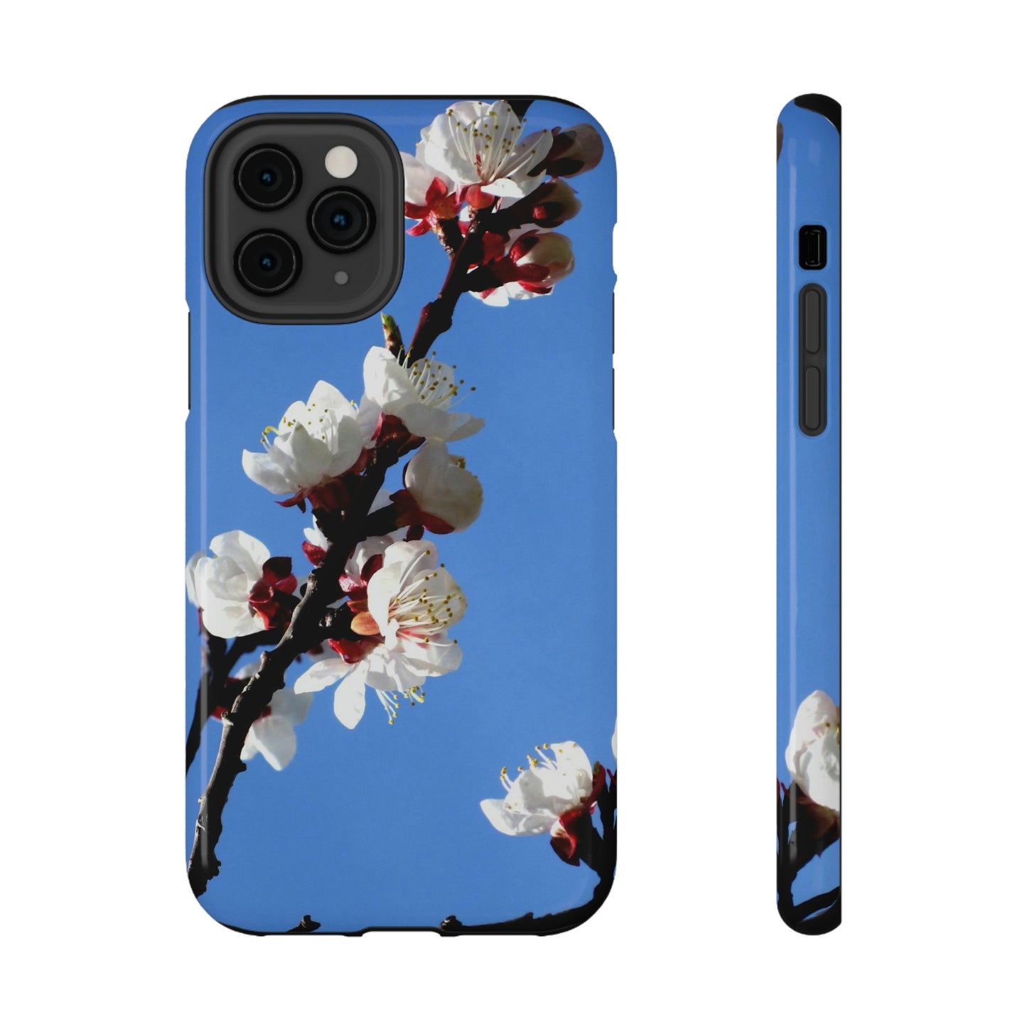 Apricot Blossoms - Impact-Resistant Cases - Phone Case ~ Sharon Dawn Collection