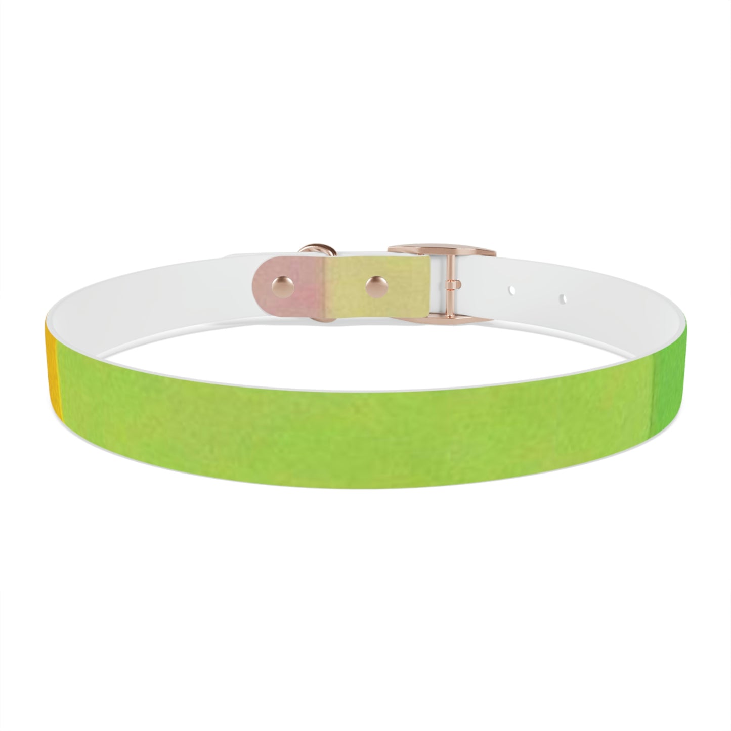 Technicolour Yellow - Dog Collar ~ Sharon Dawn Collection