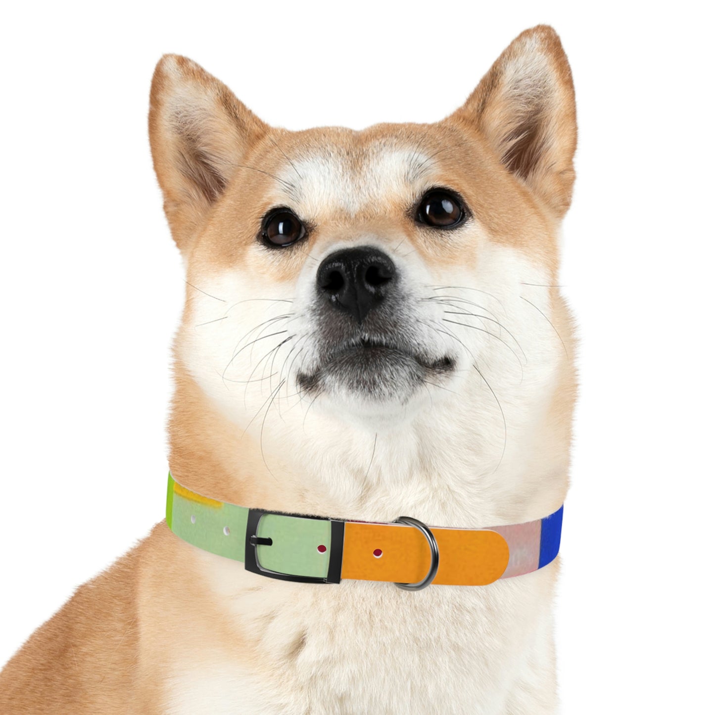 Technicolour Orange - Dog Collar ~ Sharon Dawn Collection