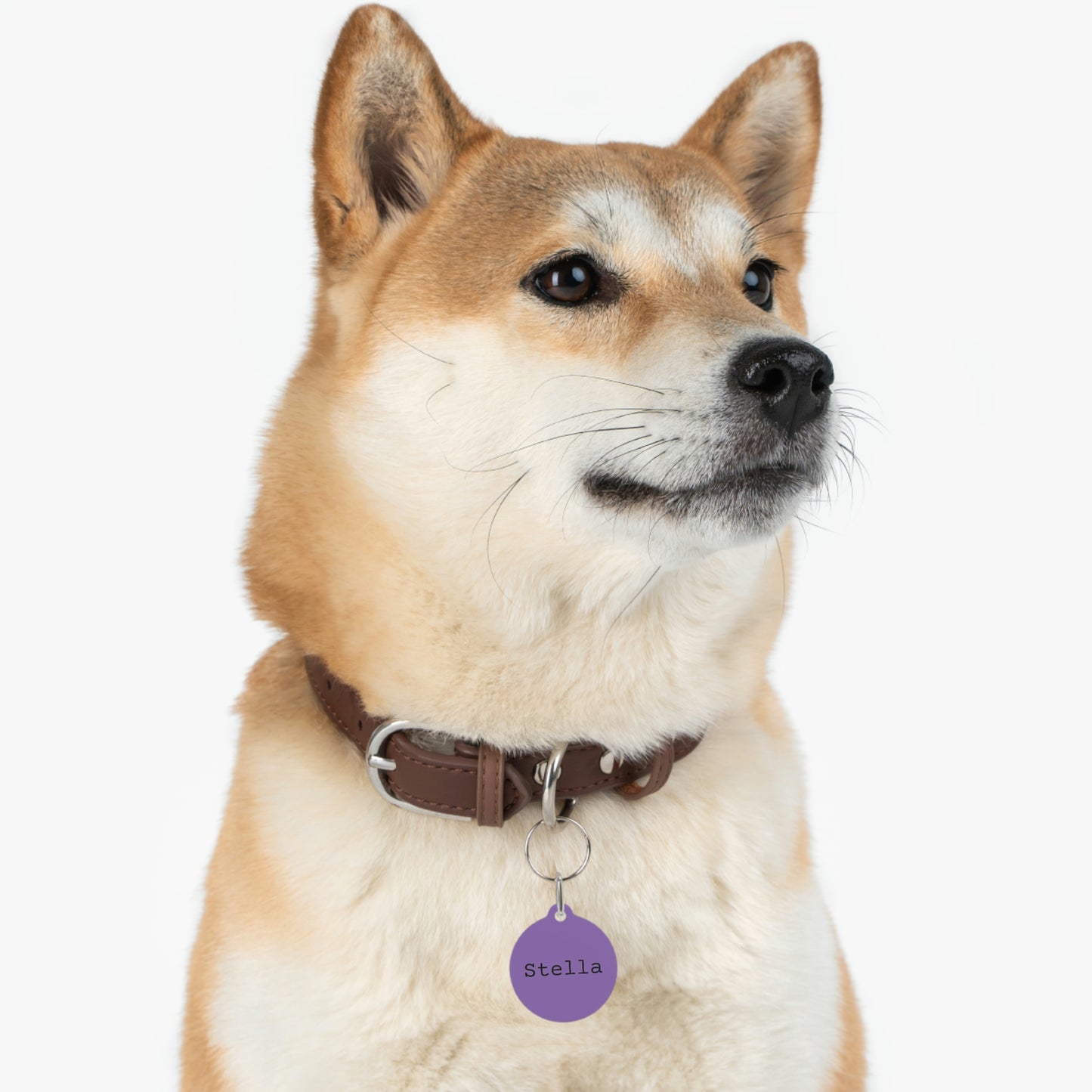 Lilac Customizable - Pet Tag ~ Sharon Dawn Collection