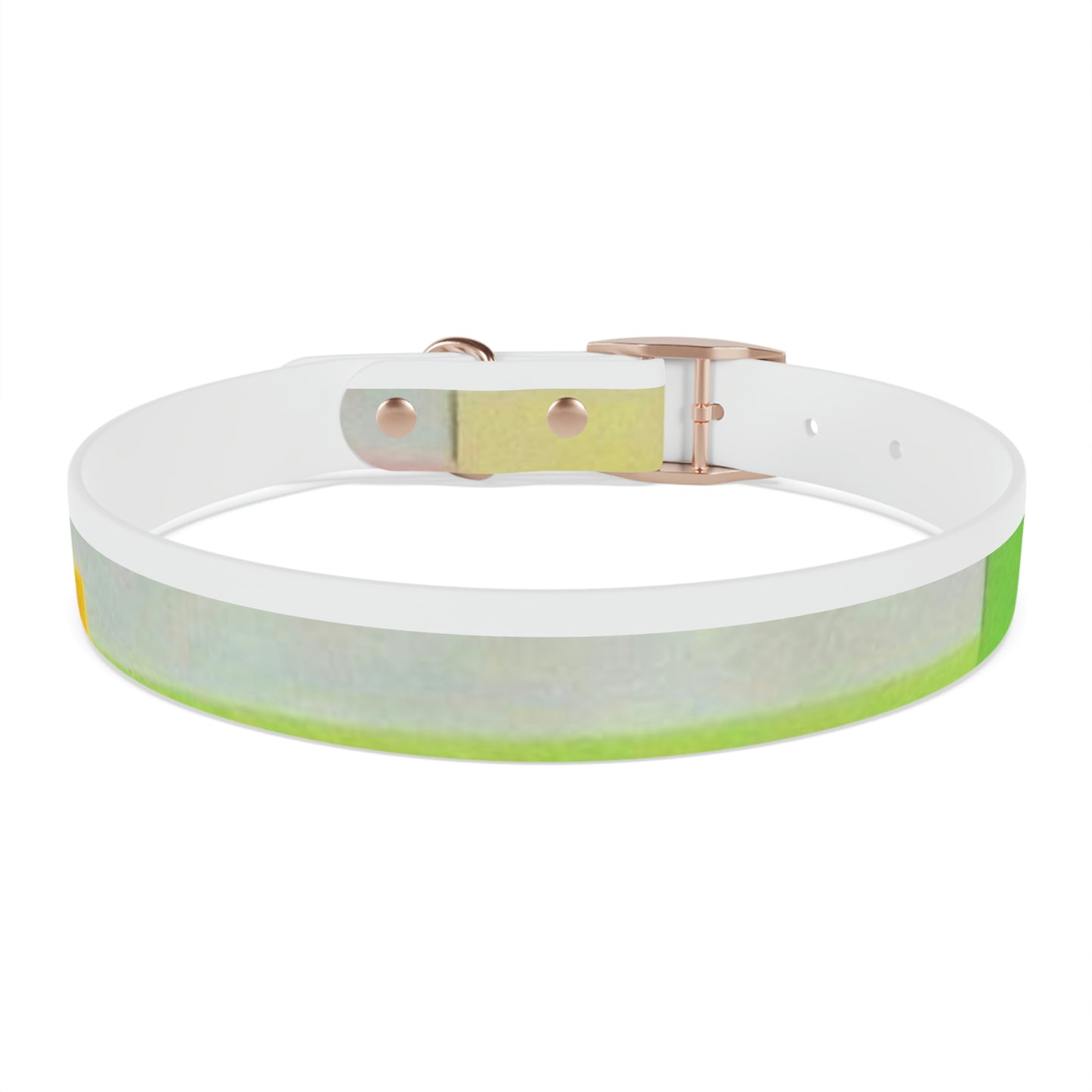 Technicolour Yellow - Dog Collar ~ Sharon Dawn Collection