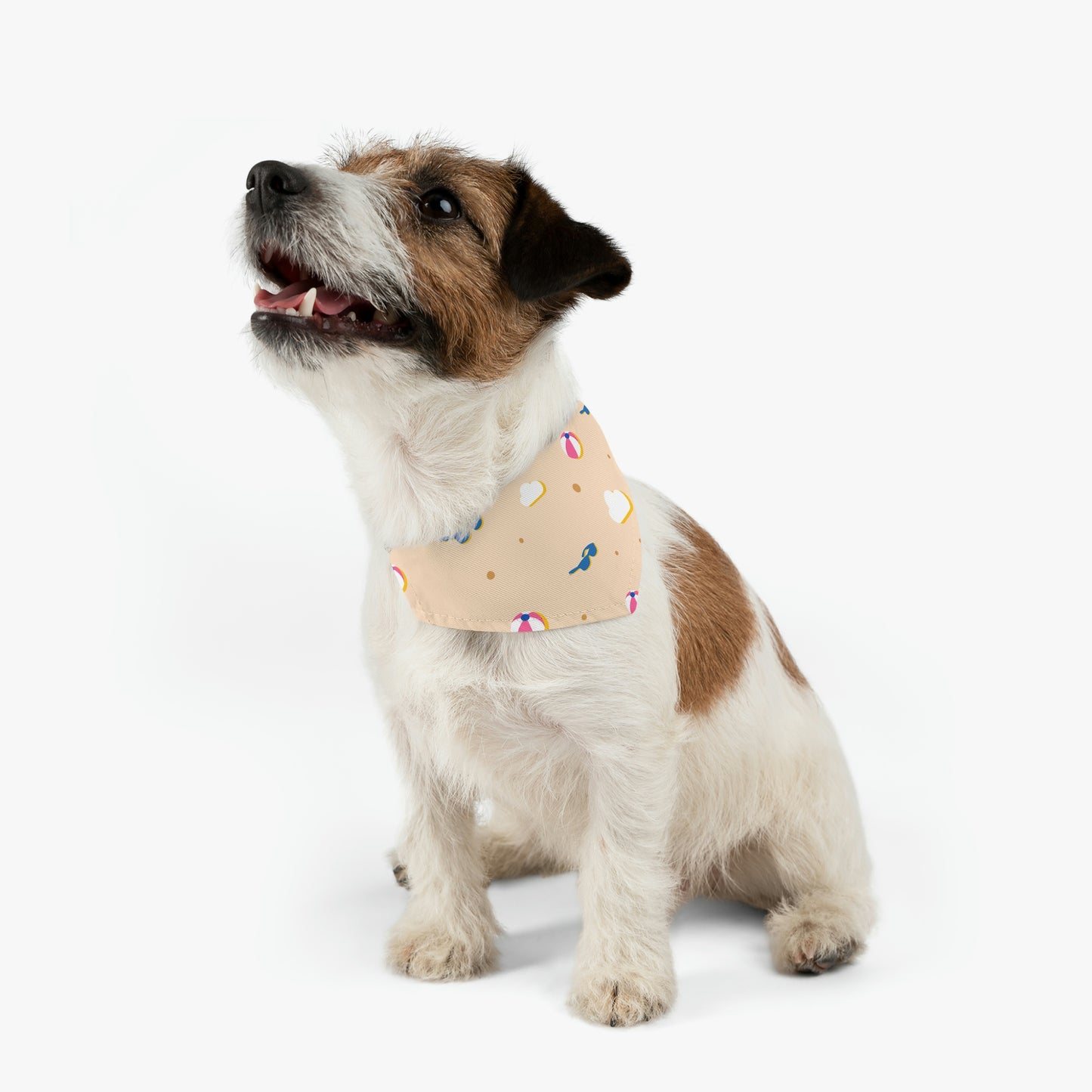 Beach - Pet Bandana Collar ~ Sharon Dawn Collection