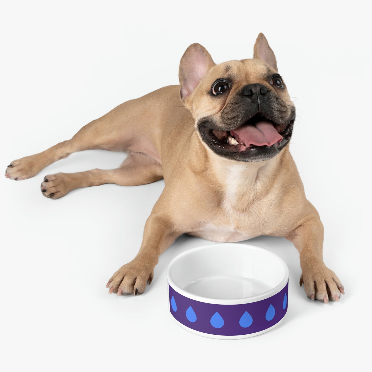 Late Night Drink of Water - Pet Bowl ~ Sharon Dawn Collection