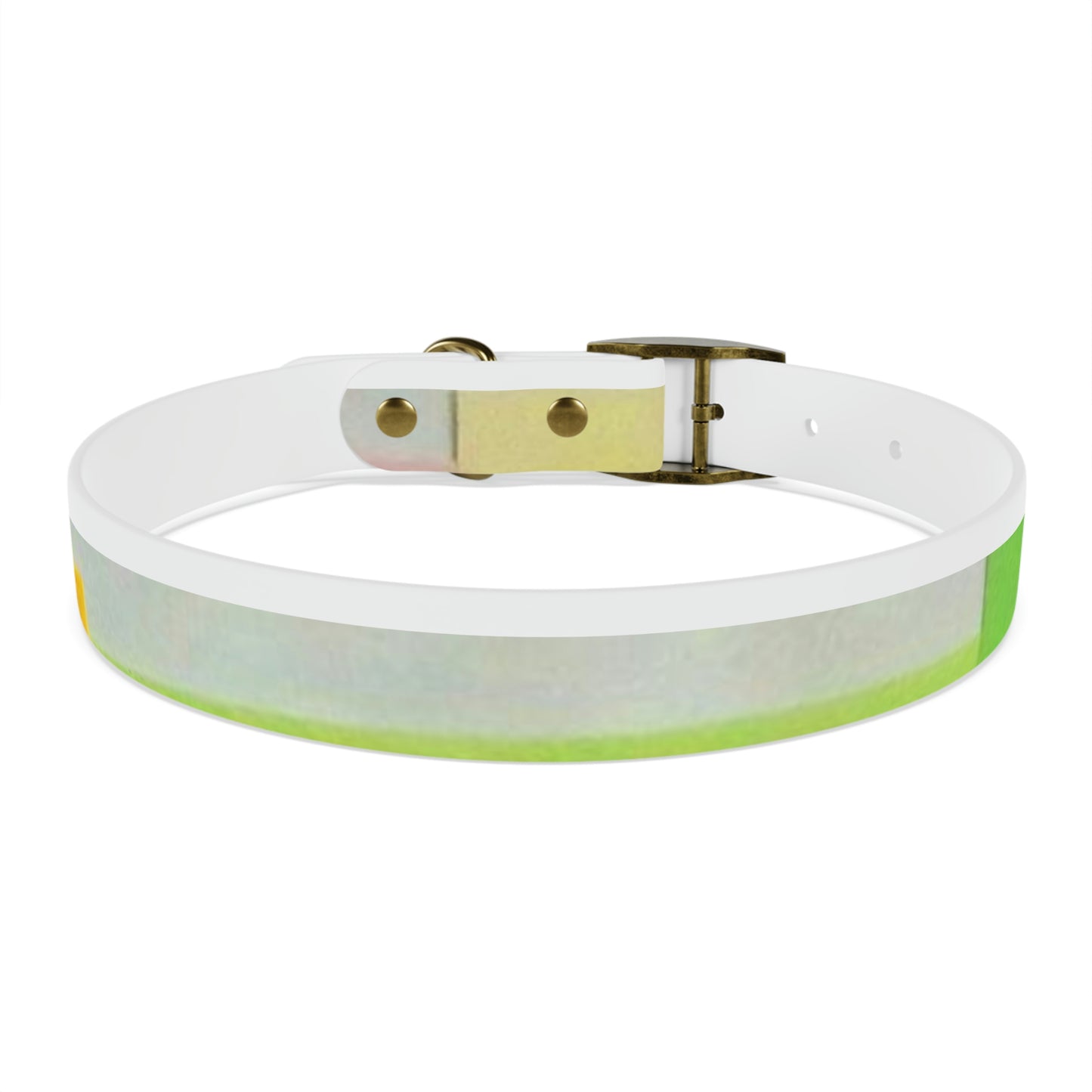 Technicolour Yellow - Dog Collar ~ Sharon Dawn Collection