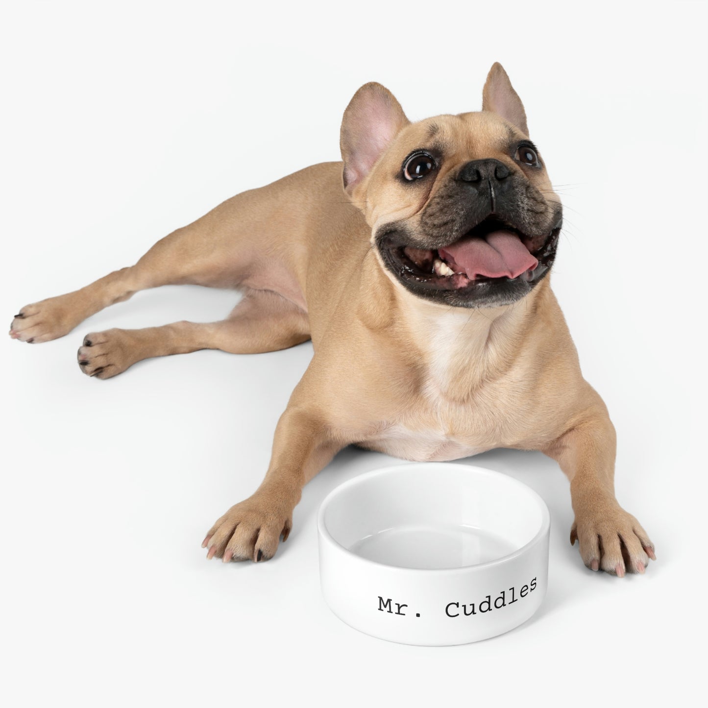 Custom Name - Pet Bowl ~ Sharon Dawn Collection