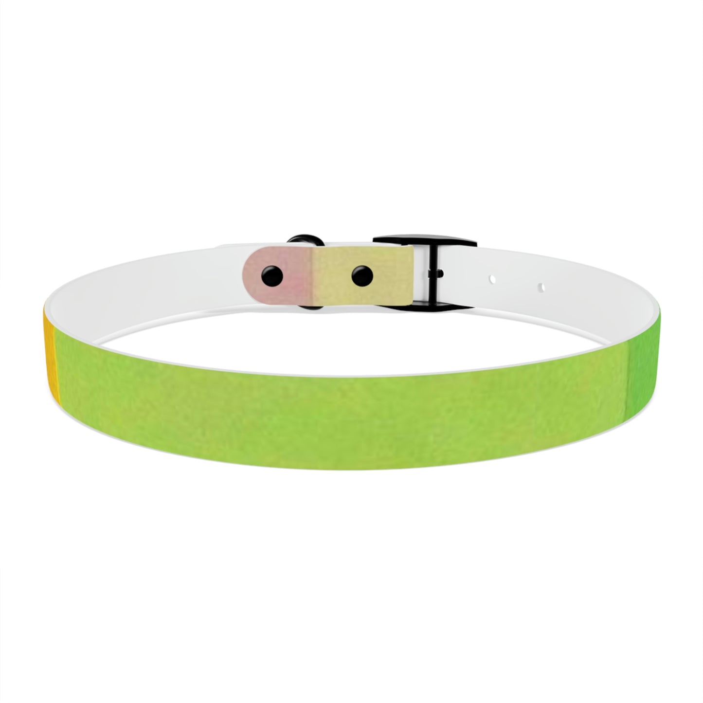 Technicolour Yellow - Dog Collar ~ Sharon Dawn Collection