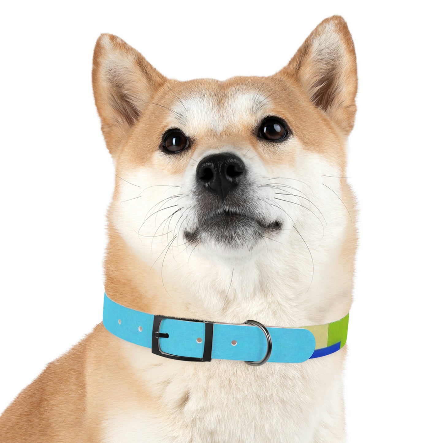Technicolour Blue - Dog Collar ~ Sharon Dawn Collection