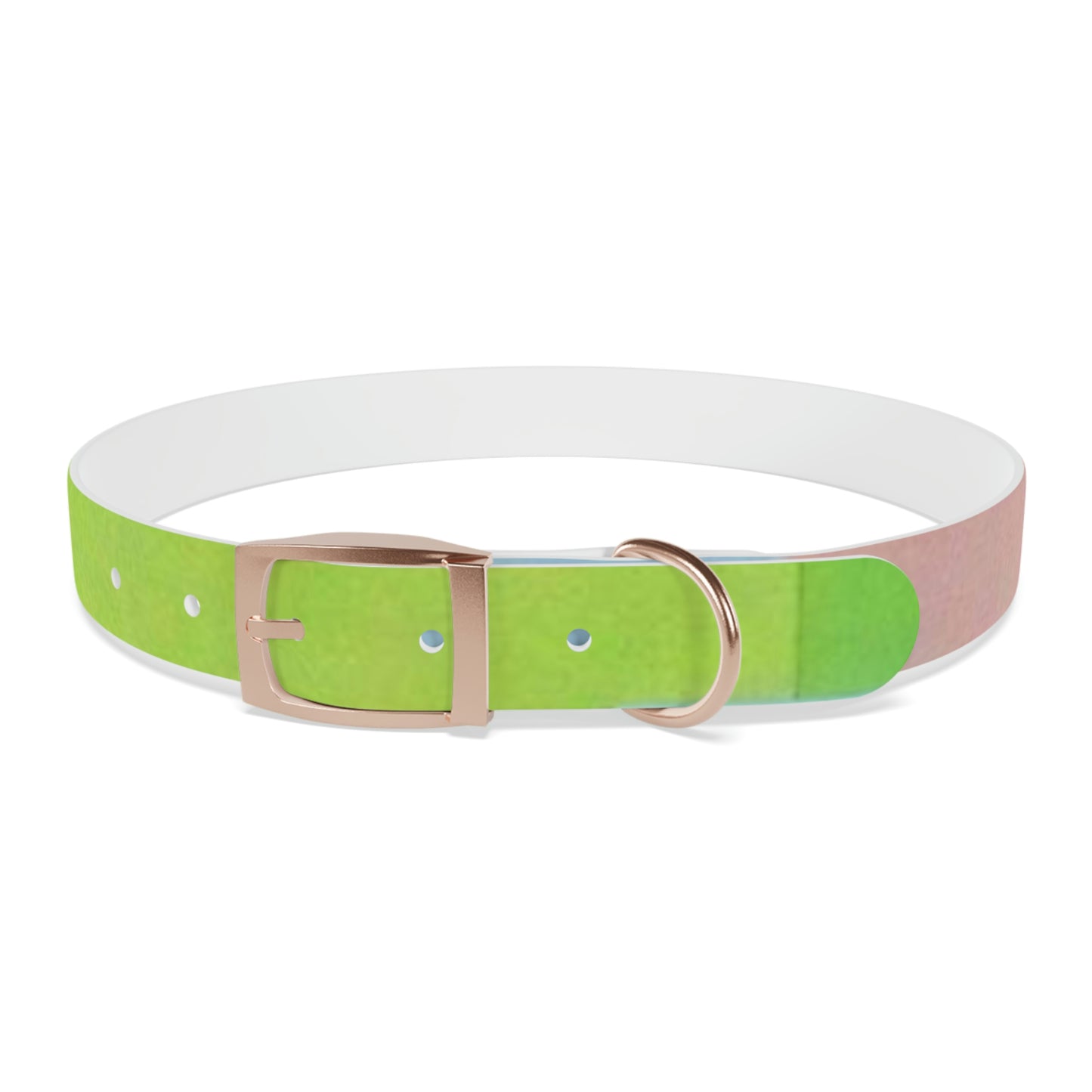 Technicolour Green - Dog Collar ~ Sharon Dawn Collection