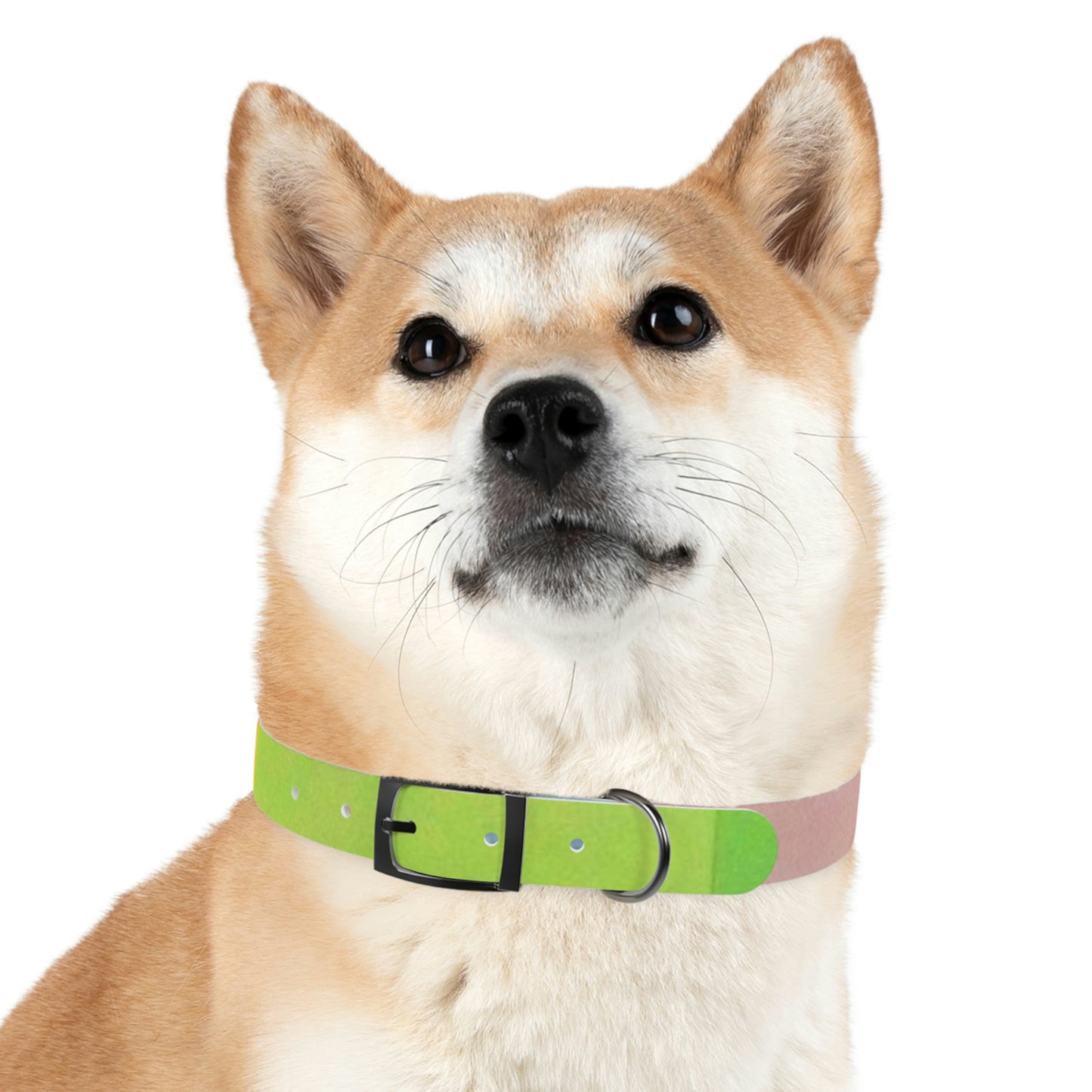 Technicolour Green - Dog Collar ~ Sharon Dawn Collection