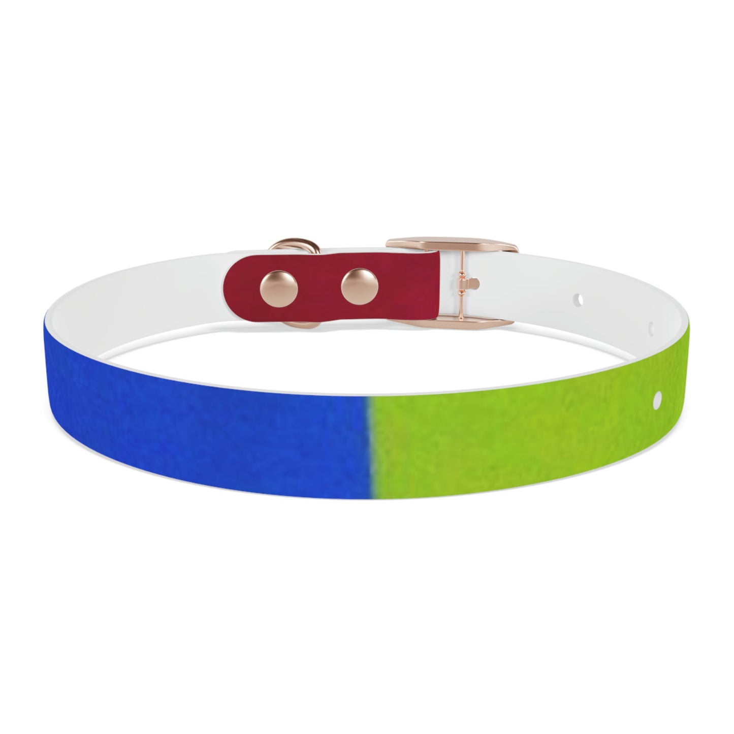 Technicolour Orange - Dog Collar ~ Sharon Dawn Collection