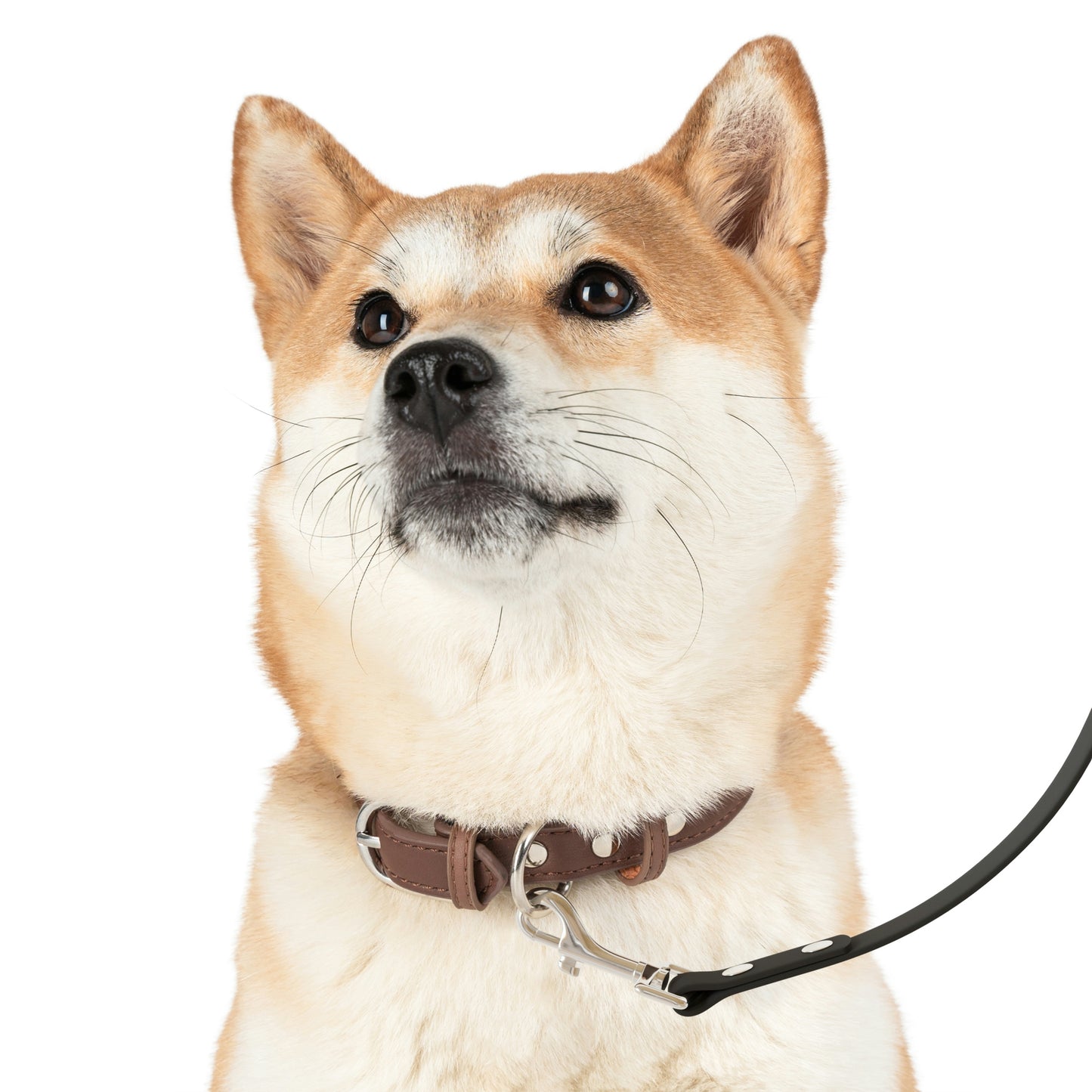 Amethyst - Leash ~ Sharon Dawn Collection