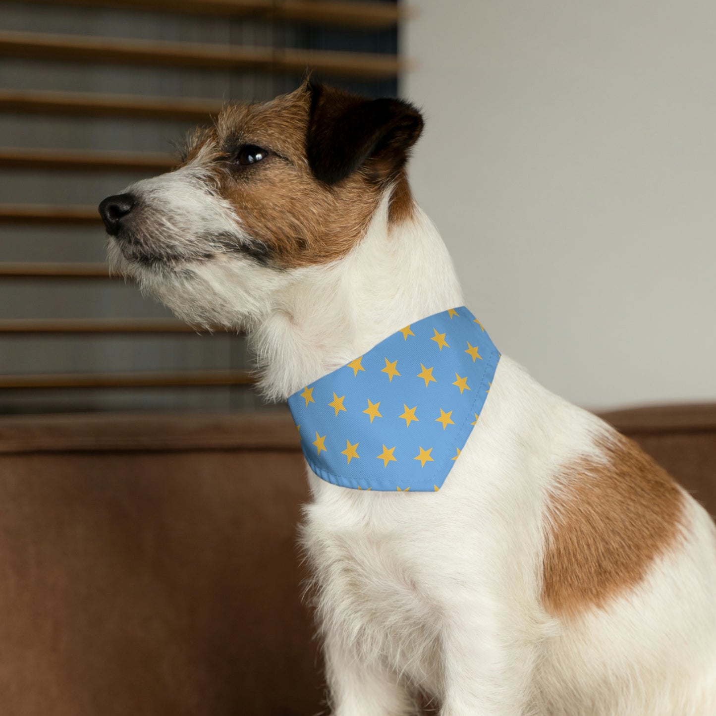 Yellow Stars in the Sky - Pet Bandana Collar ~ Sharon Dawn Collection
