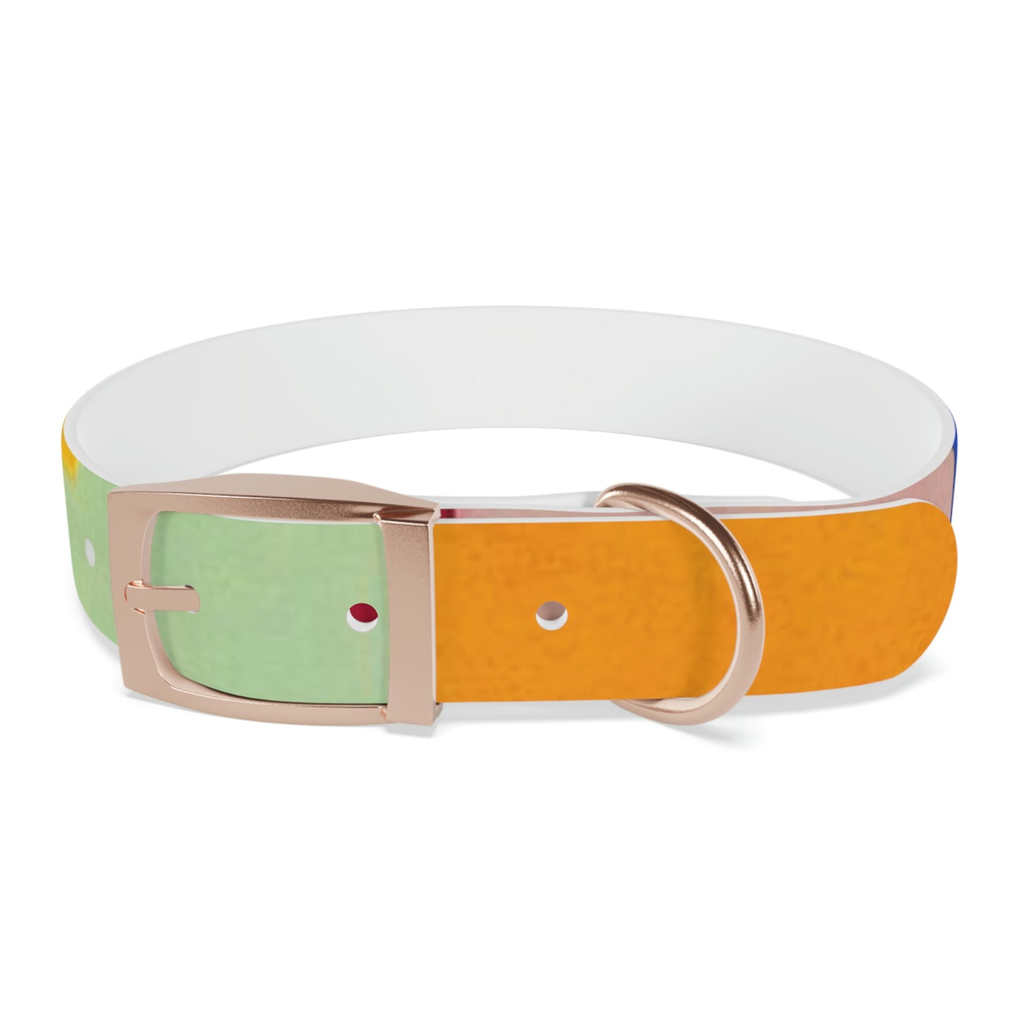 Technicolour Orange - Dog Collar ~ Sharon Dawn Collection