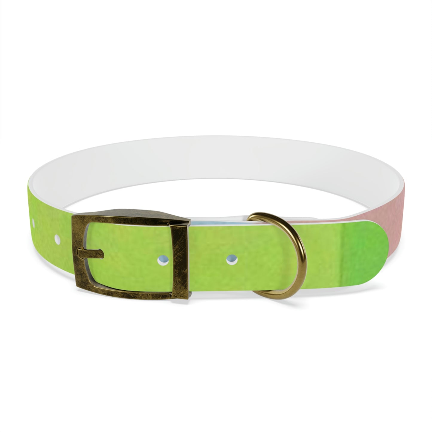 Technicolour Green - Dog Collar ~ Sharon Dawn Collection
