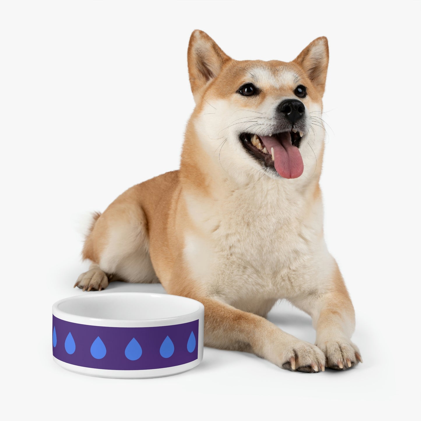 Late Night Drink of Water - Pet Bowl ~ Sharon Dawn Collection