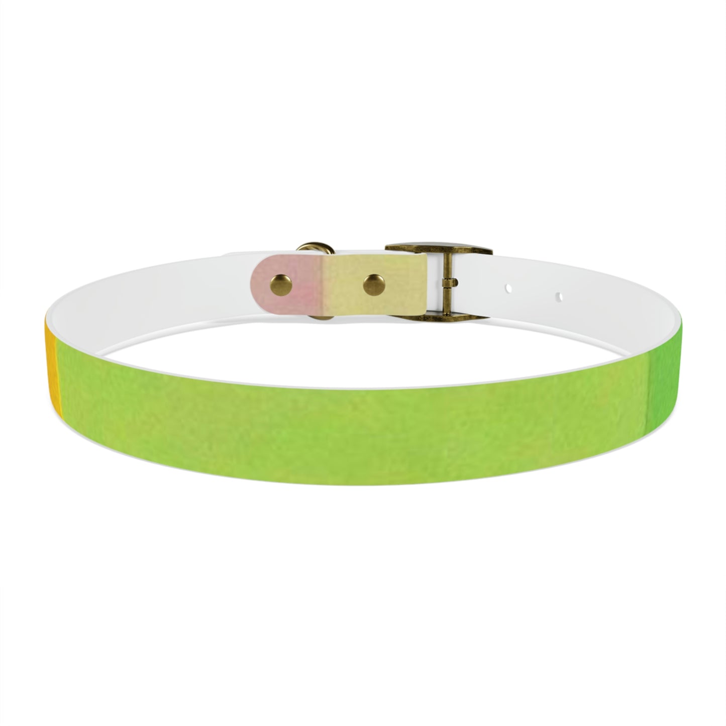 Technicolour Yellow - Dog Collar ~ Sharon Dawn Collection
