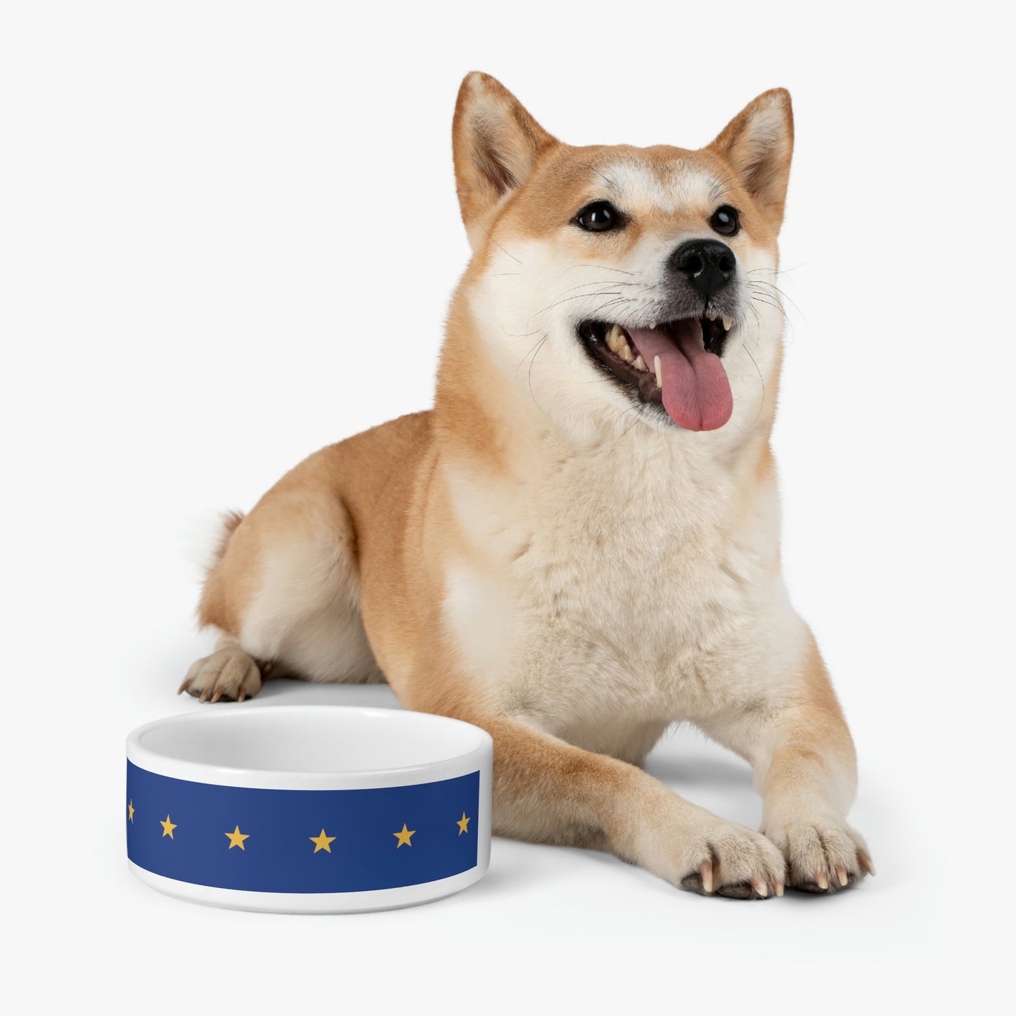 Constellation - Pet Bowl ~ Sharon Dawn Collection