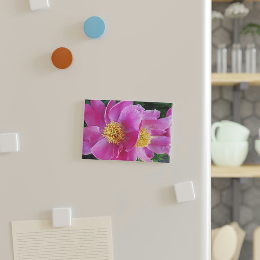 Pink Flowers ~ Button Magnet, Rectangle - Sharon Dawn Collection - Limited Edition