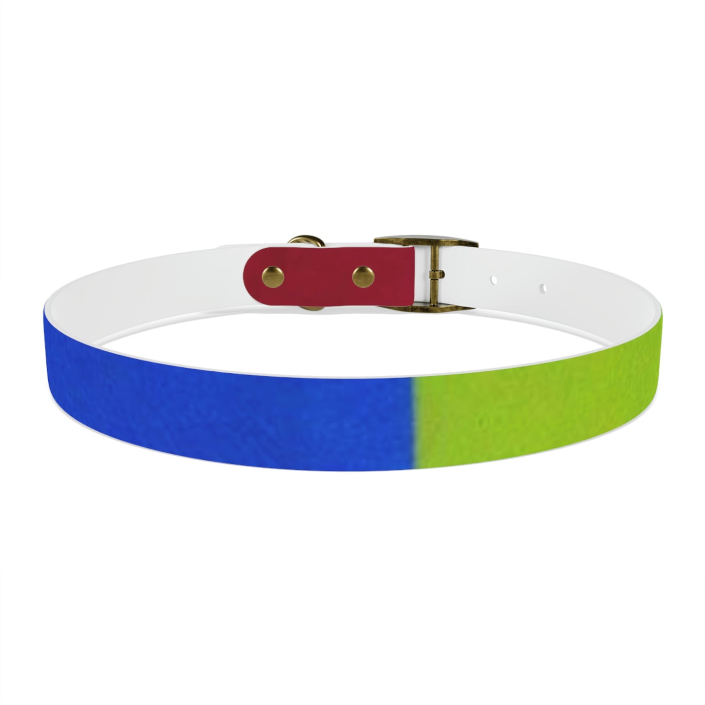 Technicolour Orange - Dog Collar ~ Sharon Dawn Collection