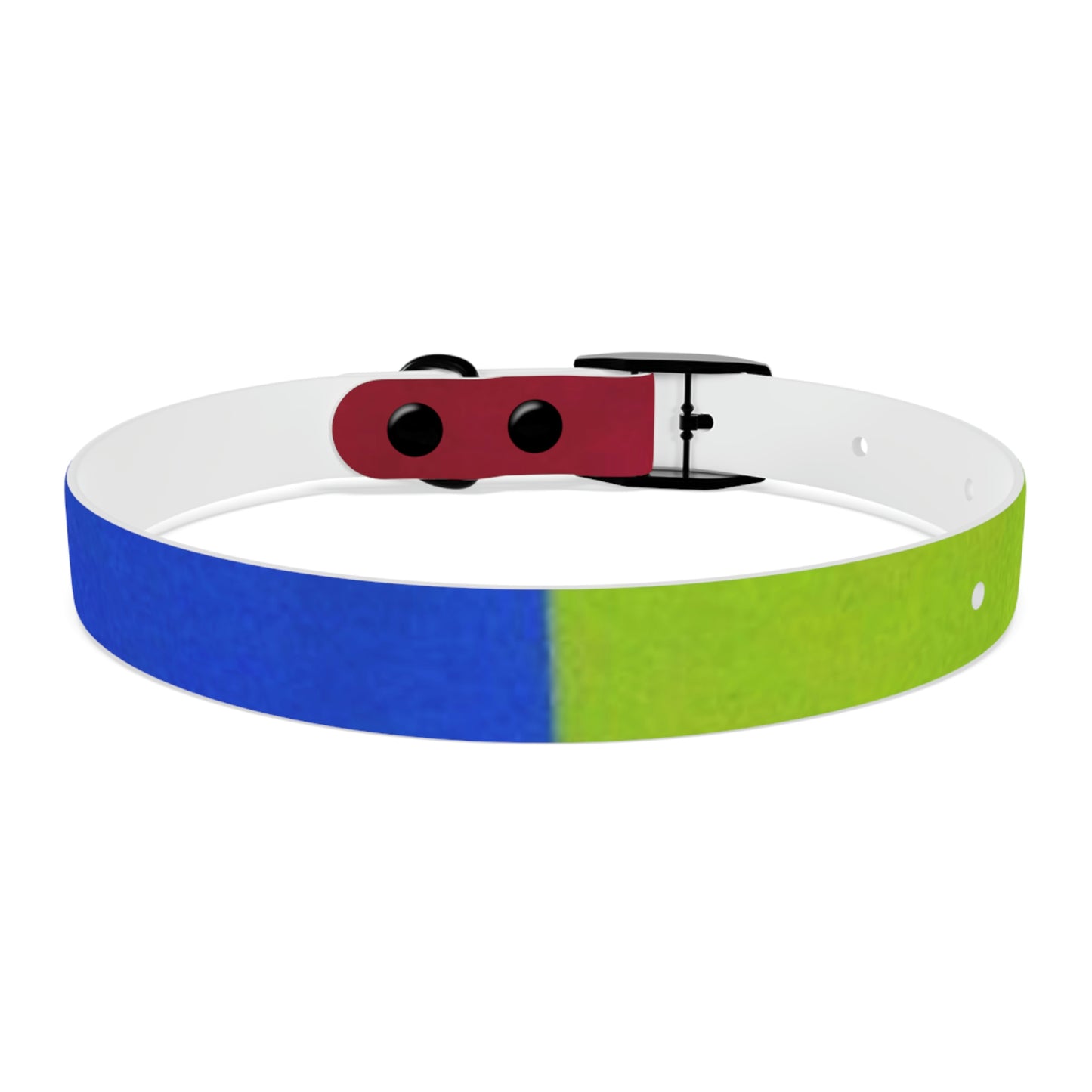 Technicolour Orange - Dog Collar ~ Sharon Dawn Collection