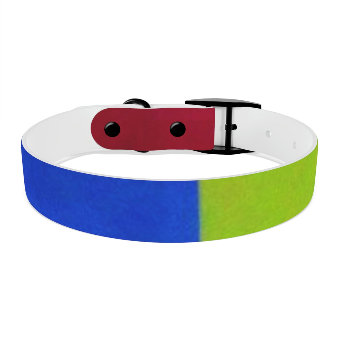 Technicolour Orange - Dog Collar ~ Sharon Dawn Collection