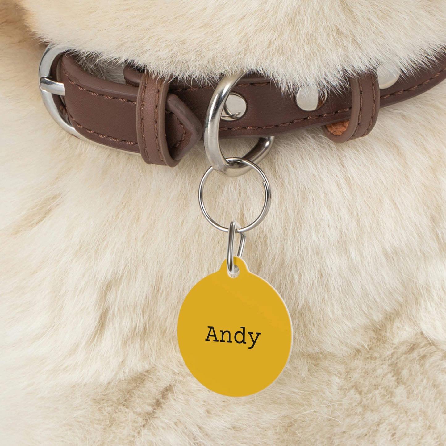 Yellow Customizable - Pet Tag ~ Sharon Dawn Collection
