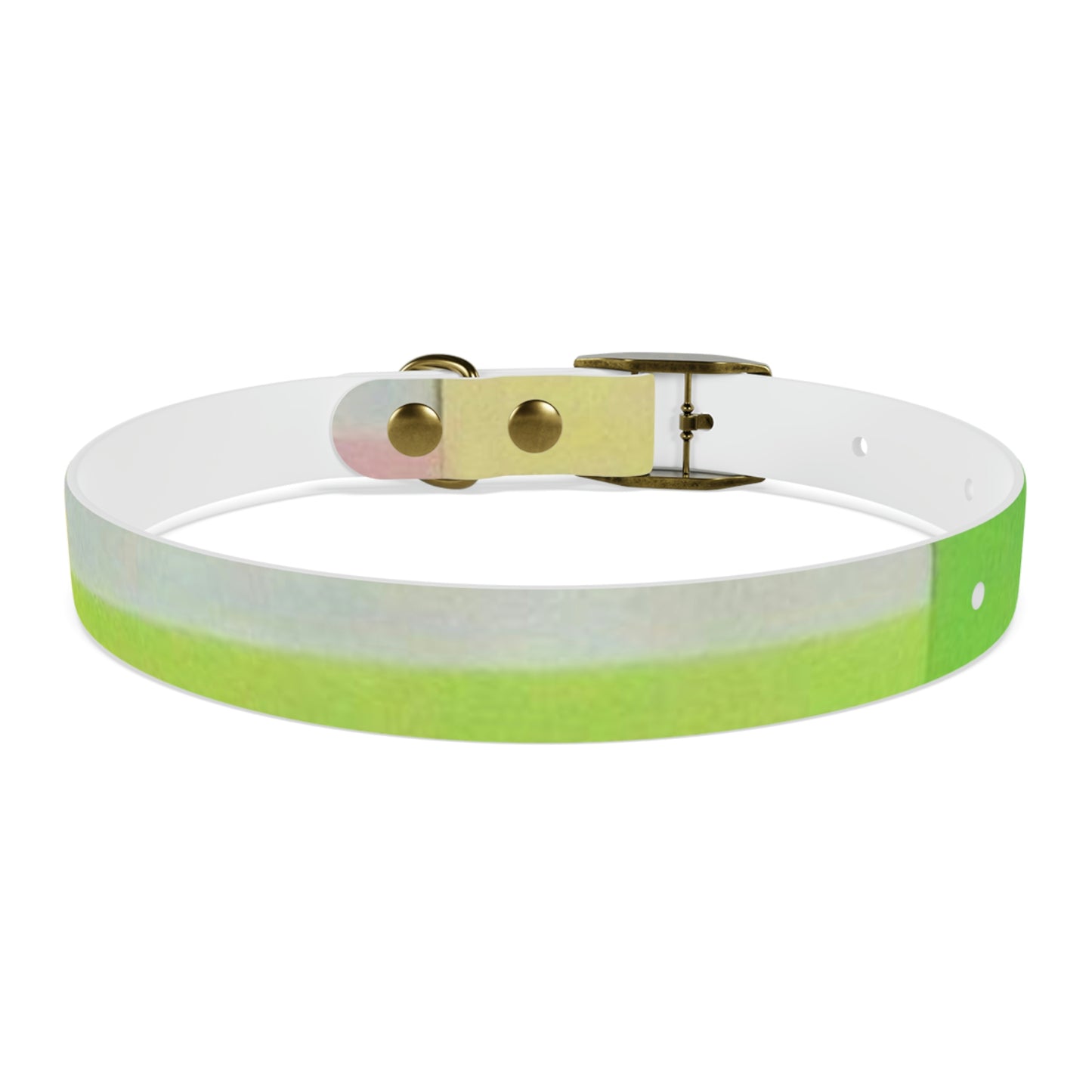 Technicolour Yellow - Dog Collar ~ Sharon Dawn Collection