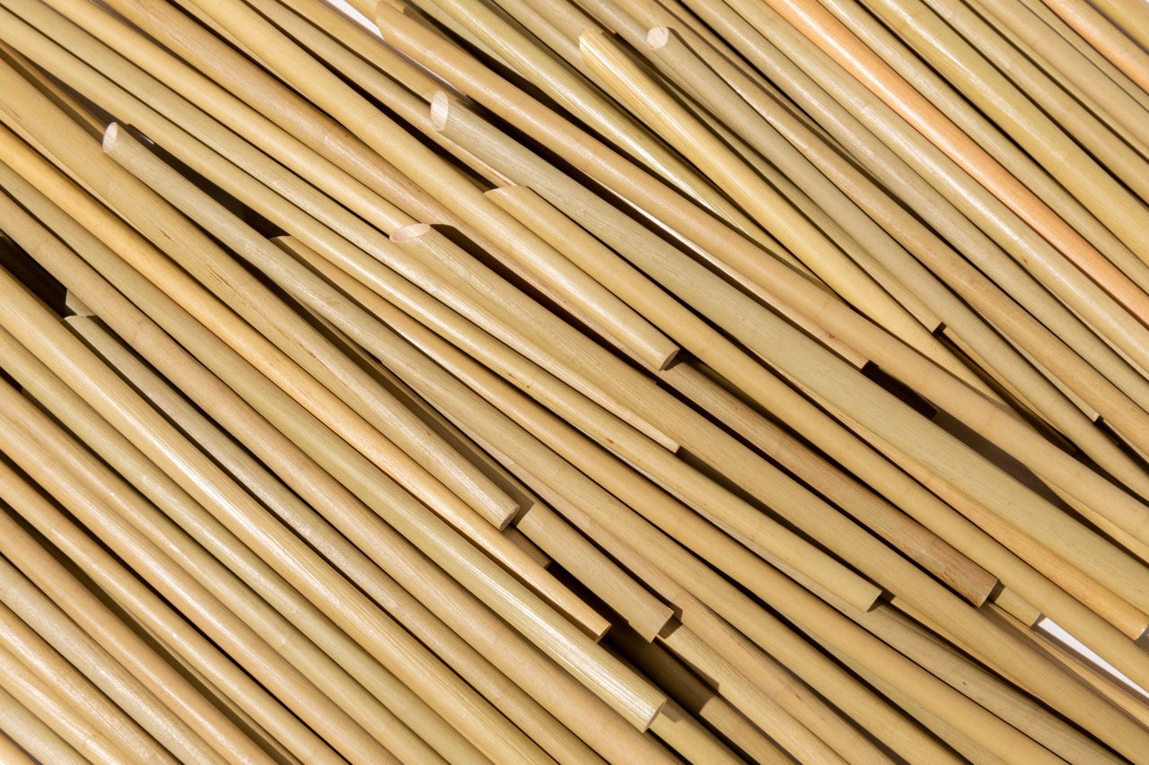 100 Grass Straws - biodegradable in 2 weeks!