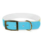 Technicolour Blue - Dog Collar ~ Sharon Dawn Collection
