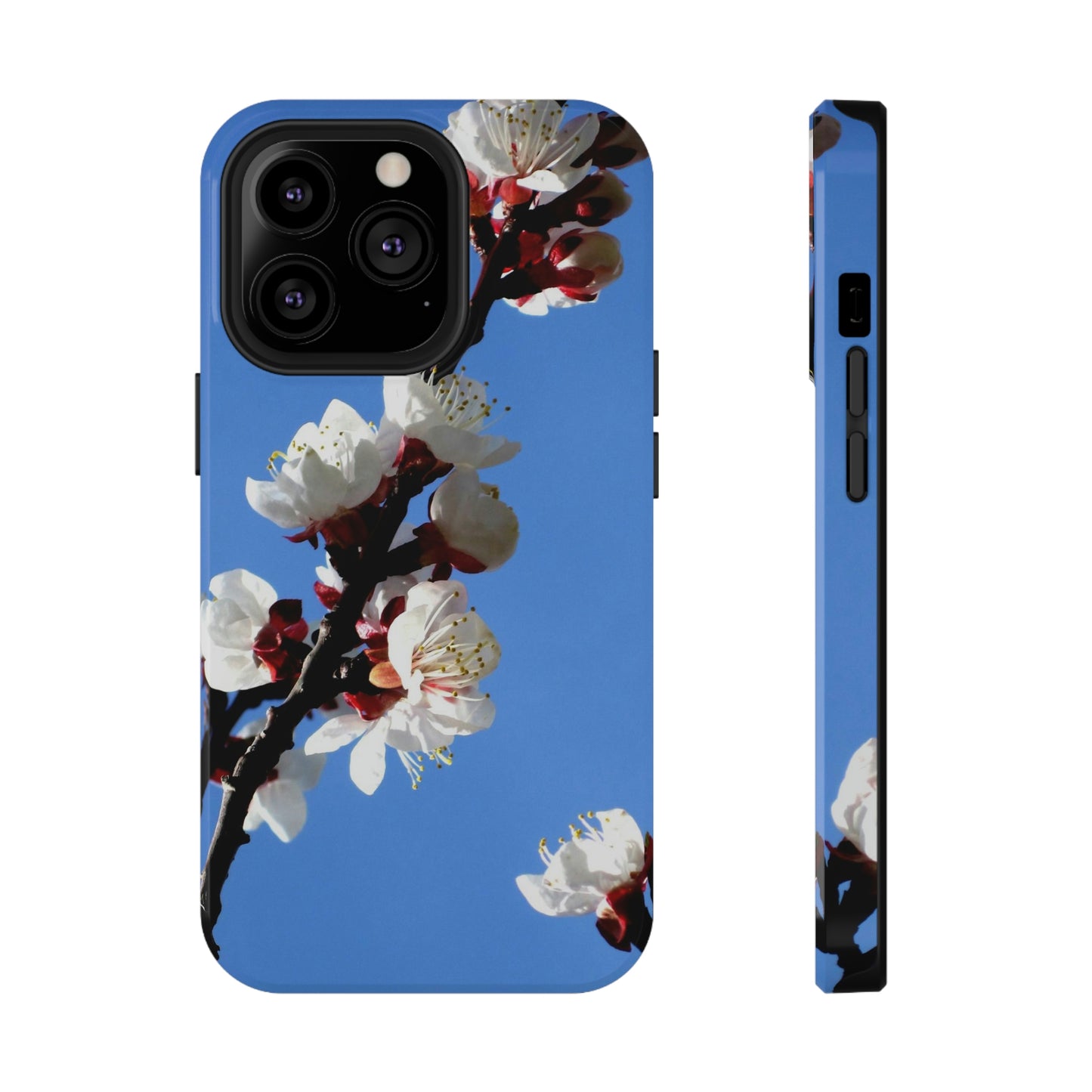 Apricot Blossoms - Impact-Resistant Cases - Phone Case ~ Sharon Dawn Collection