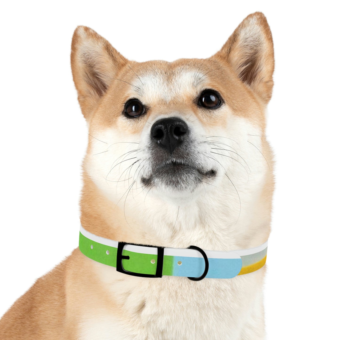 Technicolour Yellow - Dog Collar ~ Sharon Dawn Collection