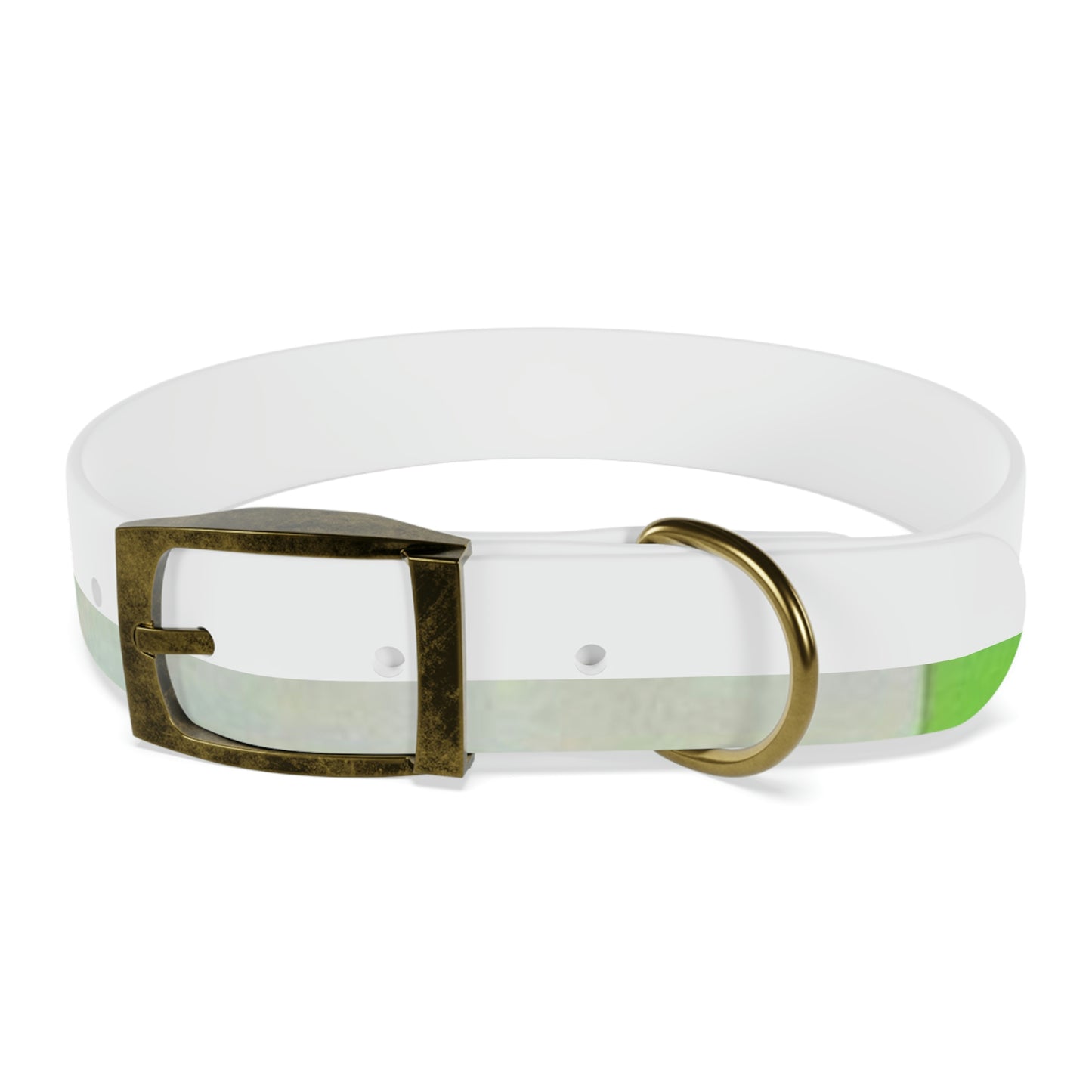 Technicolour Green - Dog Collar ~ Sharon Dawn Collection