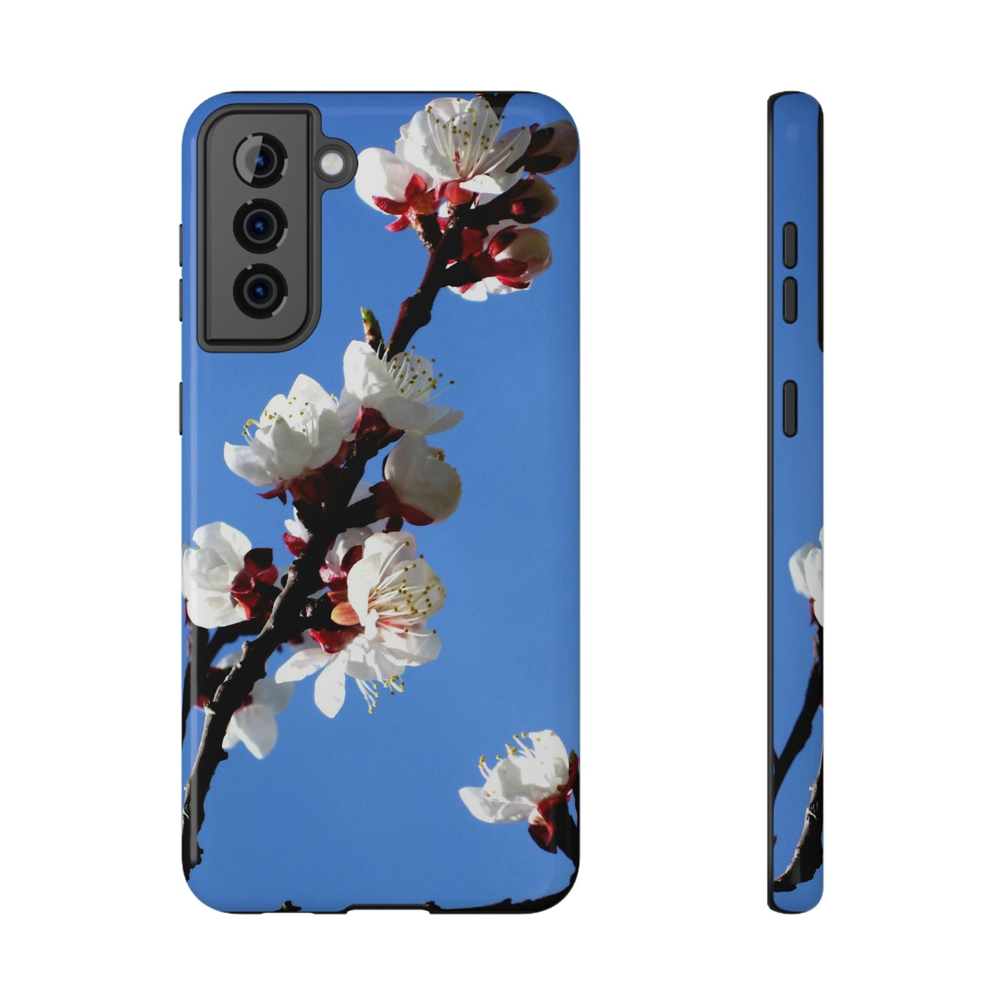 Apricot Blossoms - Impact-Resistant Cases - Phone Case ~ Sharon Dawn Collection