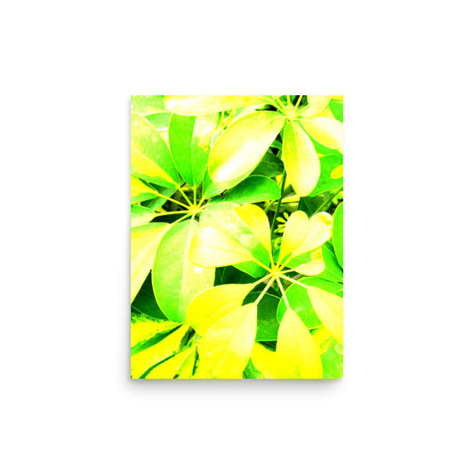 Plant - Poster ~ Sharon Dawn Collection