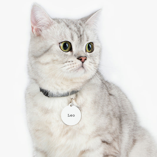 White Customizable - Pet Tag ~ Sharon Dawn Collection