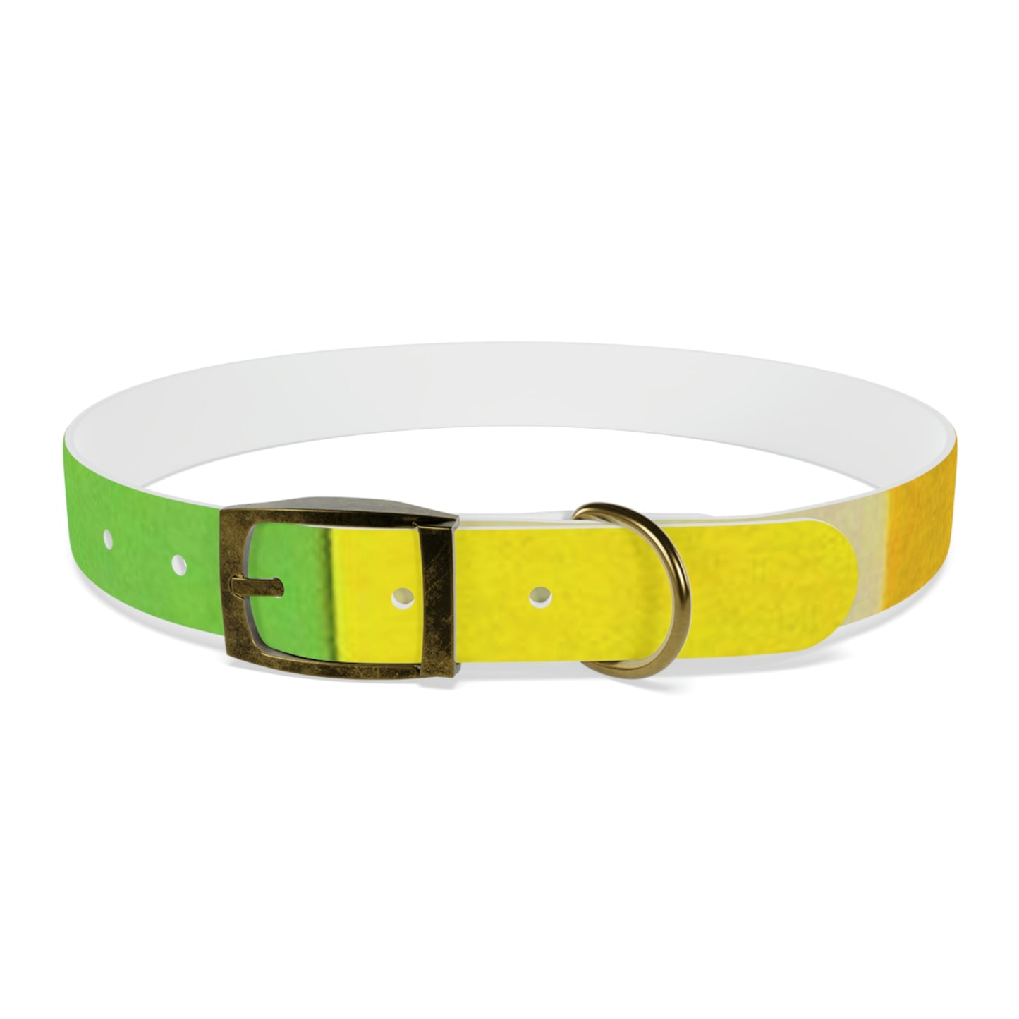 Technicolour Yellow - Dog Collar ~ Sharon Dawn Collection