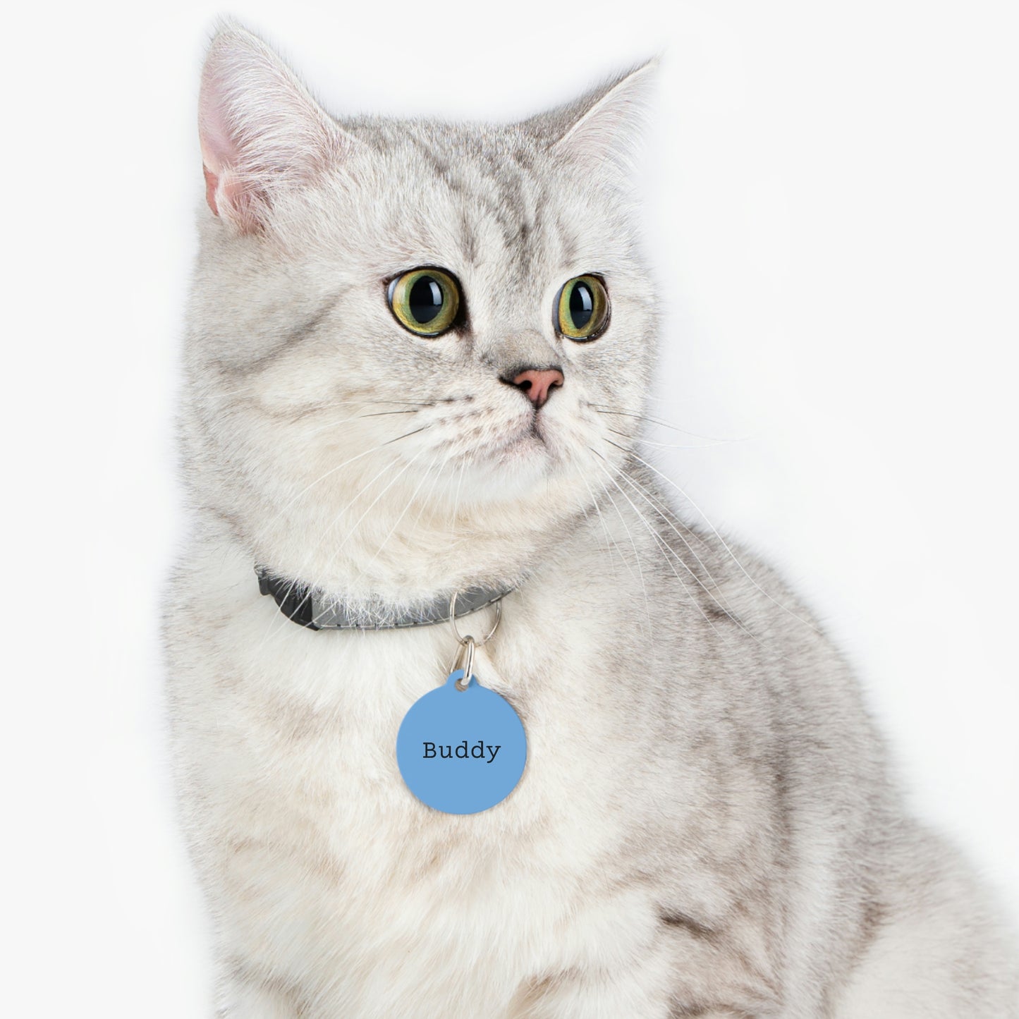 Blue Customizable - Pet Tag ~ Sharon Dawn Collection