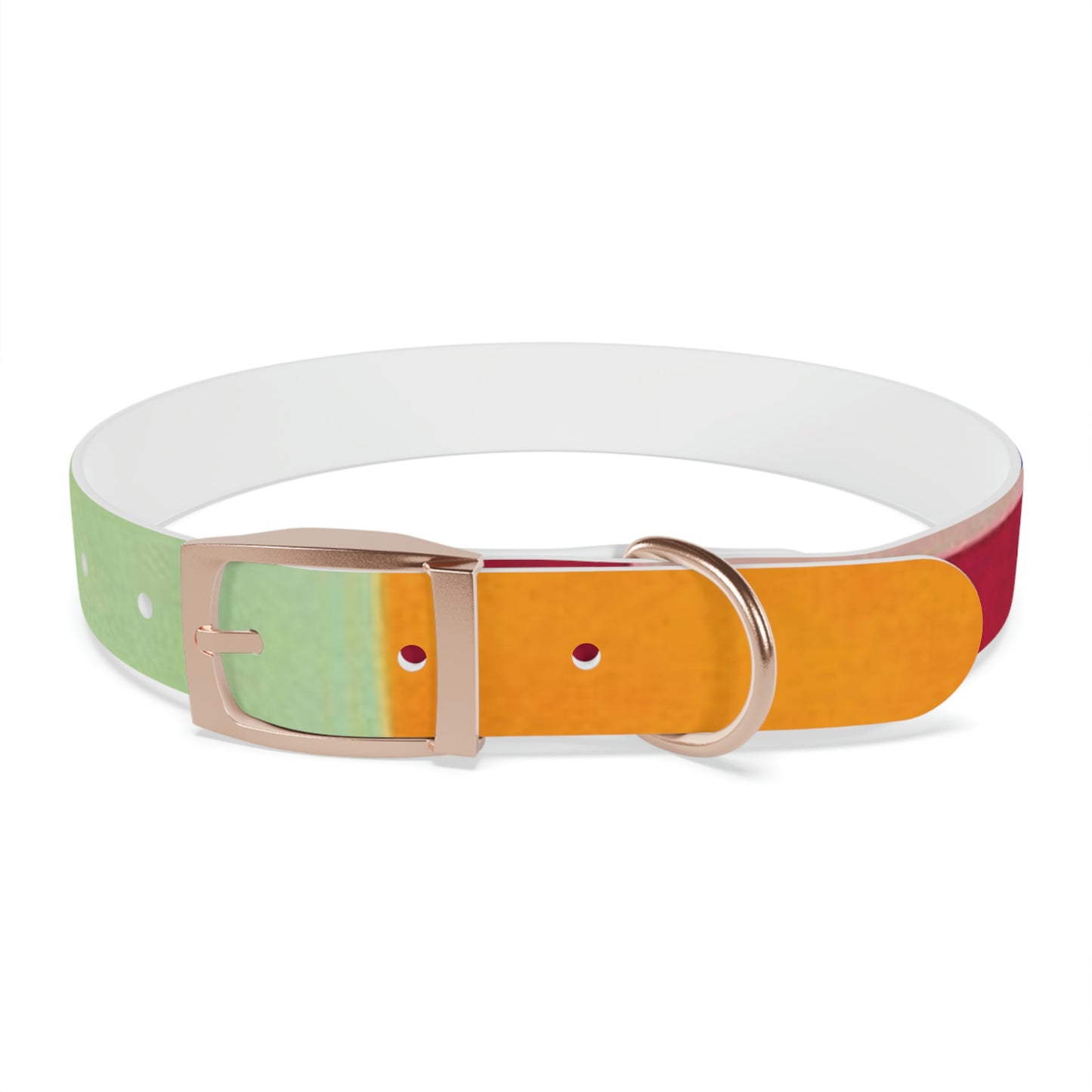 Technicolour Orange - Dog Collar ~ Sharon Dawn Collection