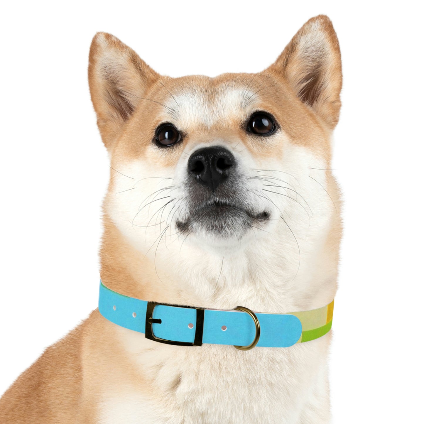 Technicolour Blue - Dog Collar ~ Sharon Dawn Collection