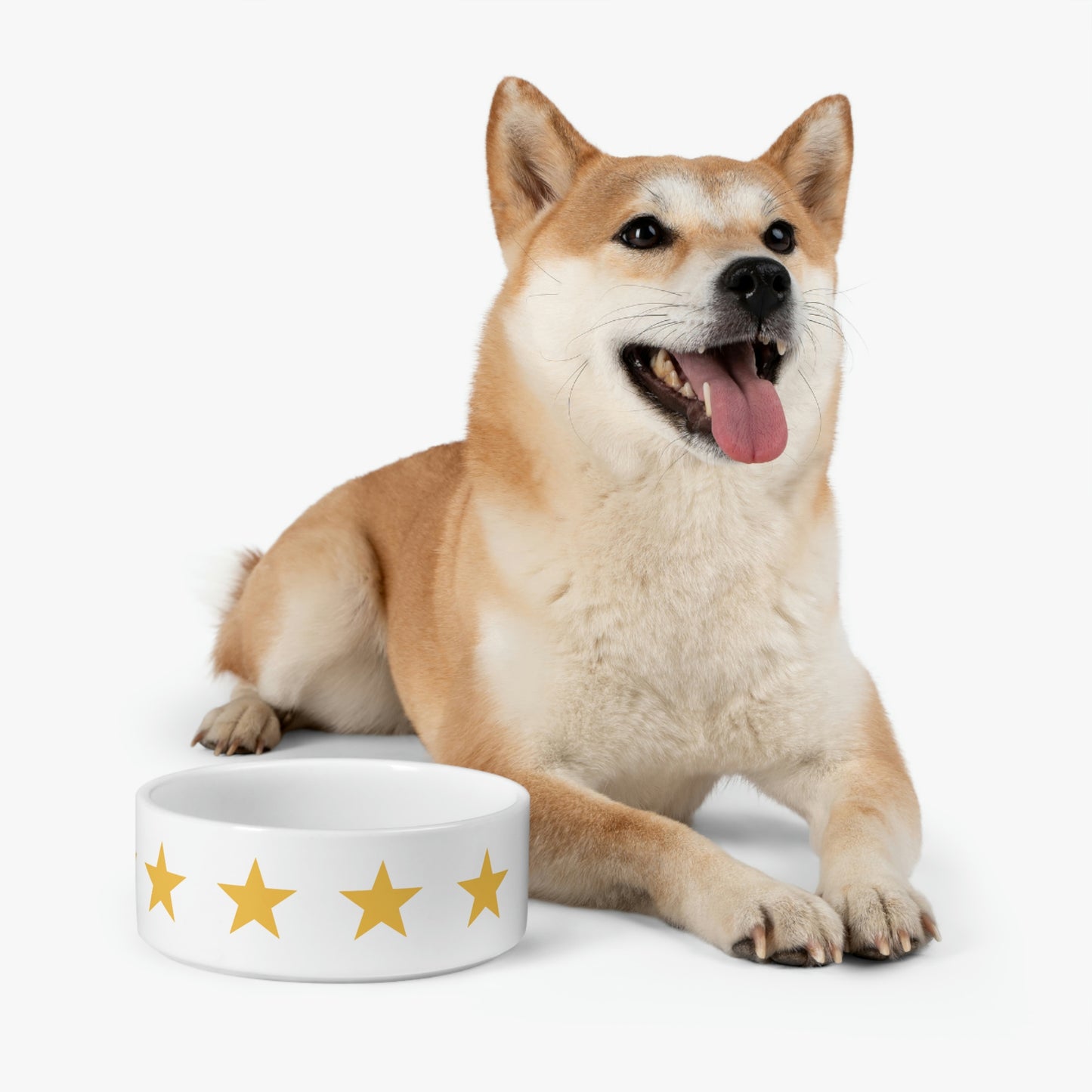 You're a Star - Pet Bowl ~ Sharon Dawn Collection