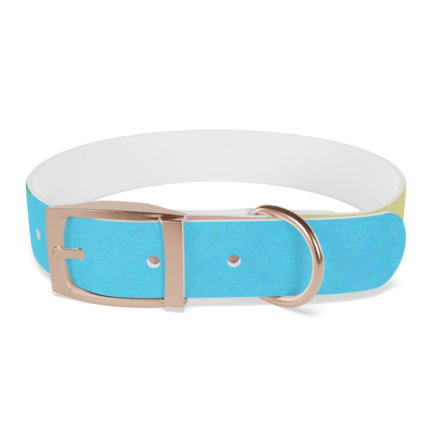 Technicolour Blue - Dog Collar ~ Sharon Dawn Collection