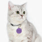 Lilac Customizable - Pet Tag ~ Sharon Dawn Collection