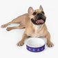Late Night Drink of Water - Pet Bowl ~ Sharon Dawn Collection