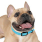 Technicolour Blue - Dog Collar ~ Sharon Dawn Collection
