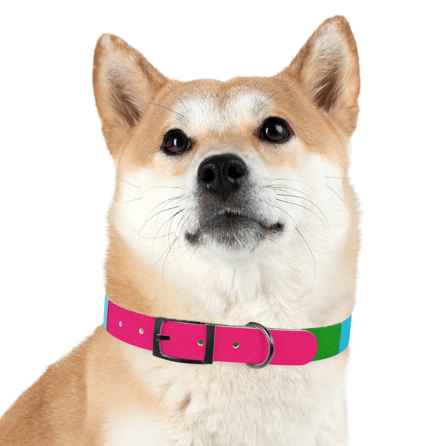 Technicolour Magenta - Dog Collar ~ Sharon Dawn Collection