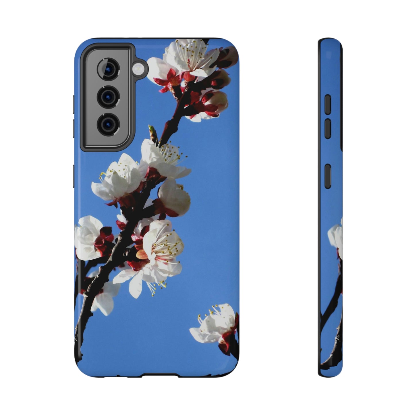 Apricot Blossoms - Impact-Resistant Cases - Phone Case ~ Sharon Dawn Collection