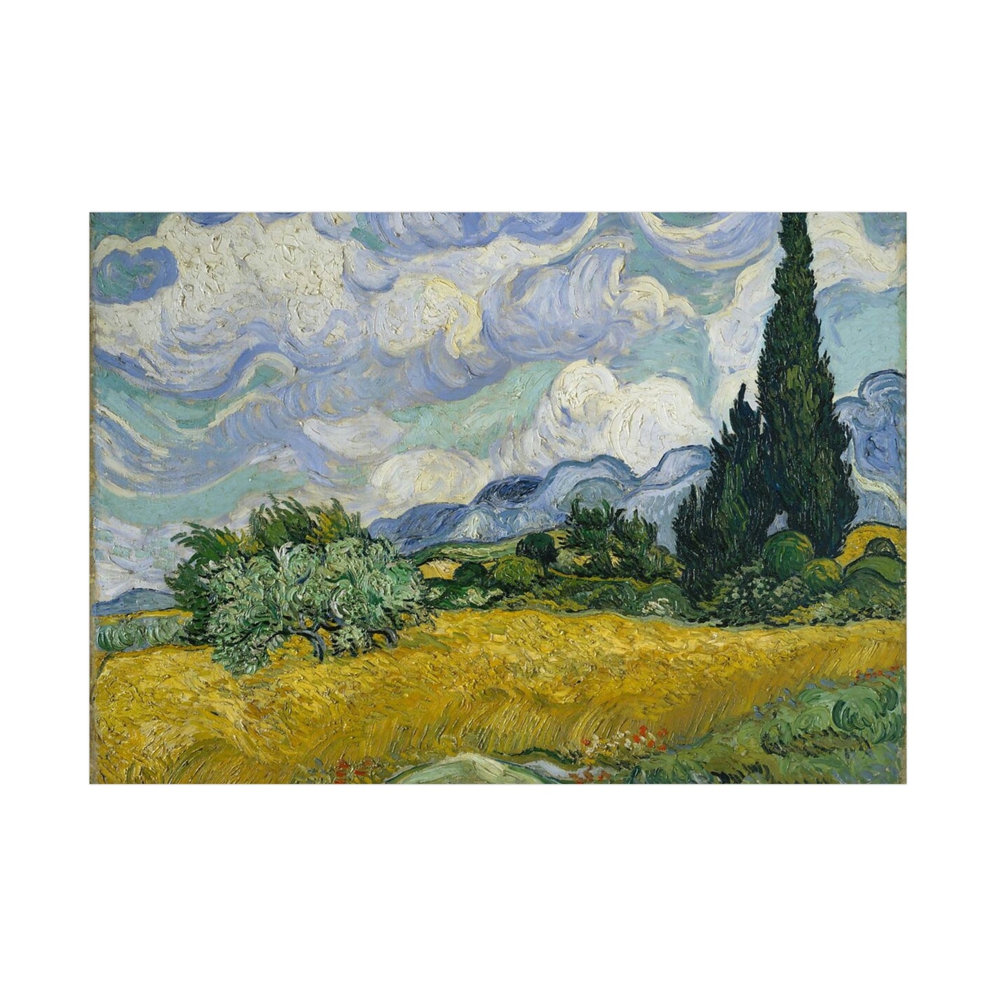 Wheat Field with Cypresses - Vincent Van Gogh - Rolled Posters