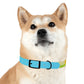 Technicolour Blue - Dog Collar ~ Sharon Dawn Collection